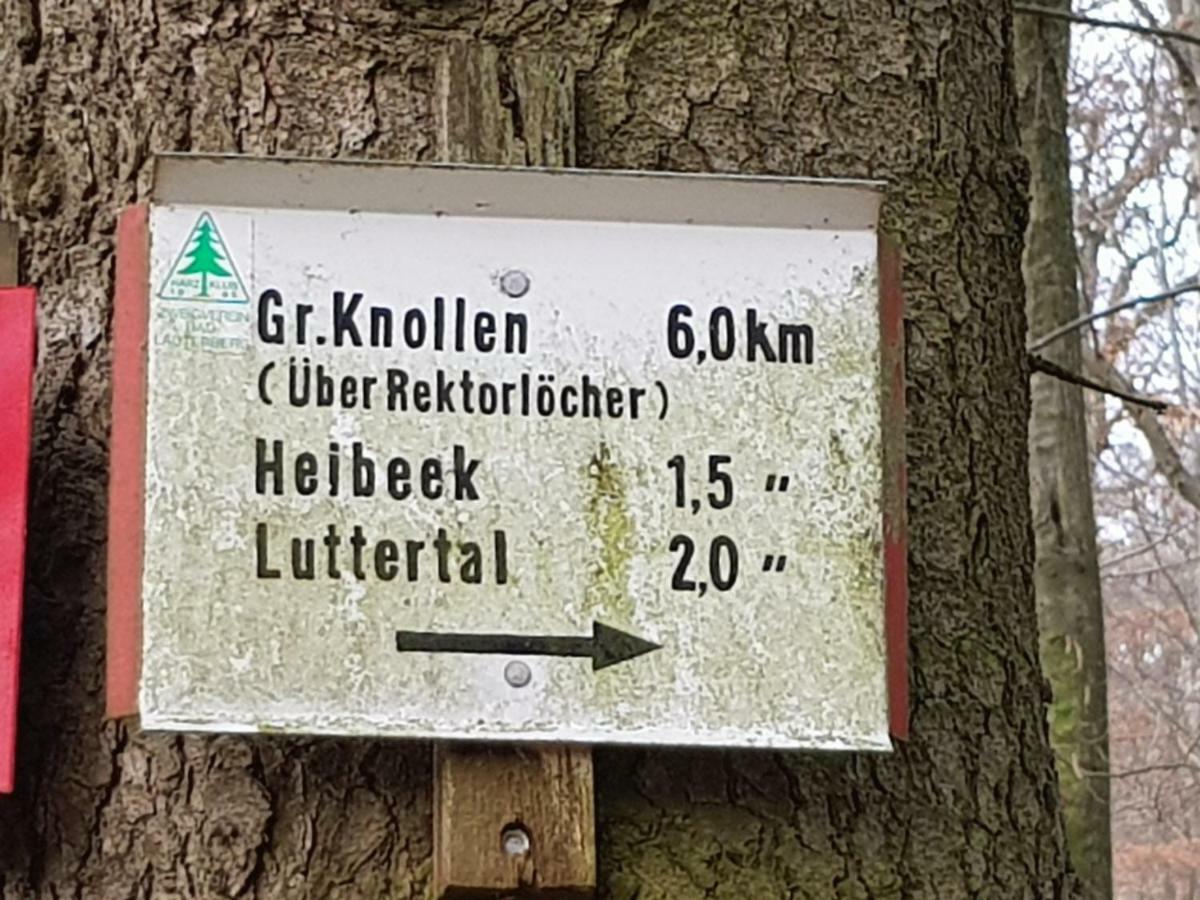 Ferienwohnung "Hagebutze" Mit Sauna Und Schwimmbad Bad Lauterberg Ngoại thất bức ảnh